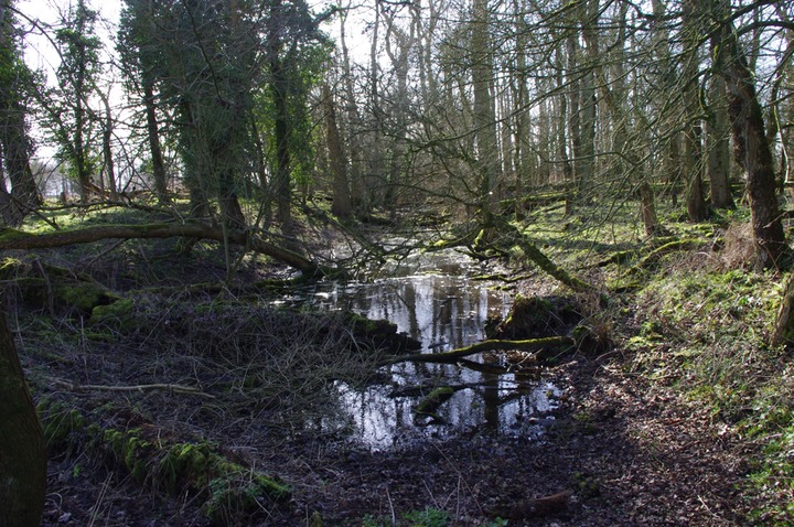 hill top pond