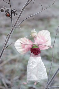 ladybird fairy