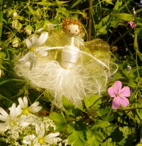 white hedgerow flowers