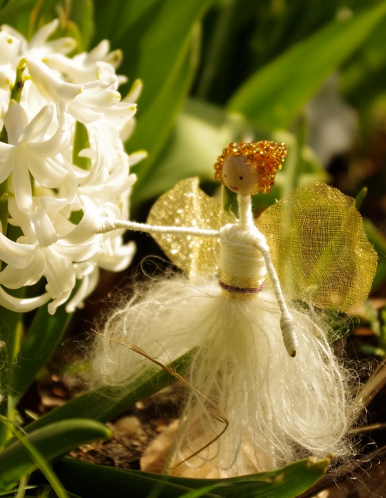 white hyacinth HG